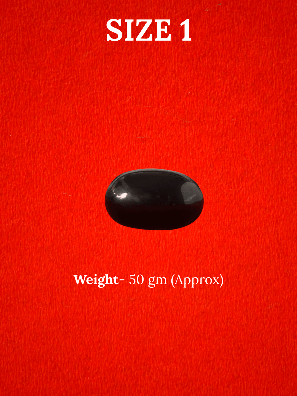 Natural Shaligram Stone for Bhagwan Vishnu