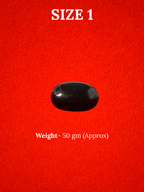 Natural Shaligram Stone for Bhagwan Vishnu