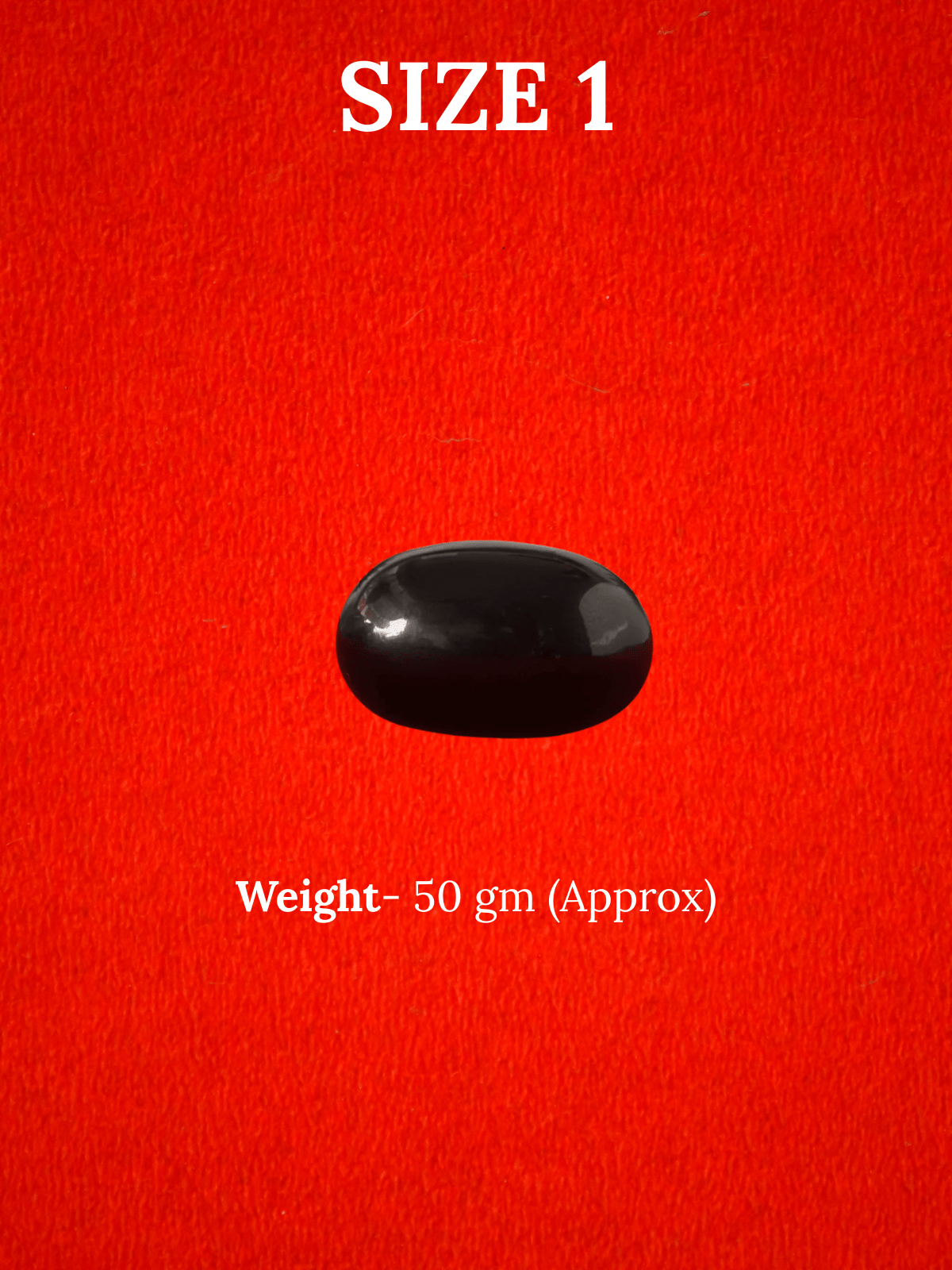 Natural Shaligram Stone for Bhagwan Vishnu