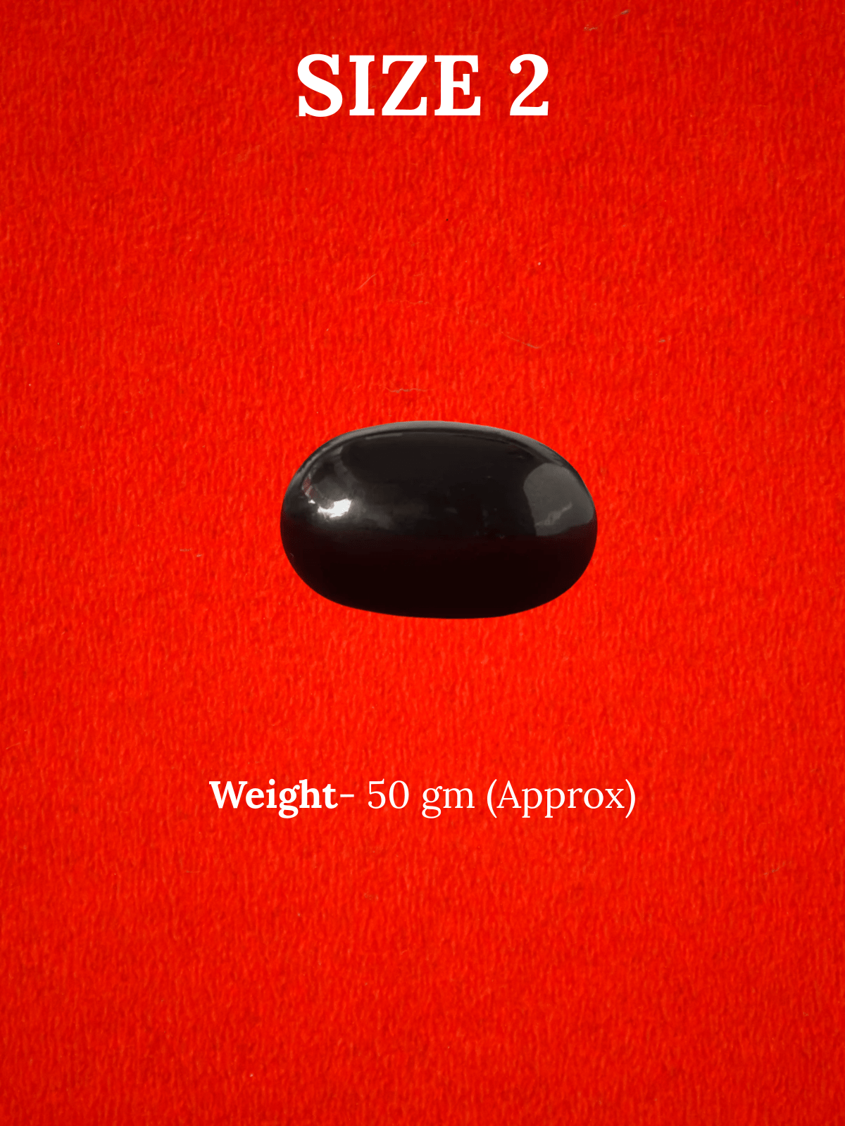 Natural Shaligram Stone for Bhagwan Vishnu
