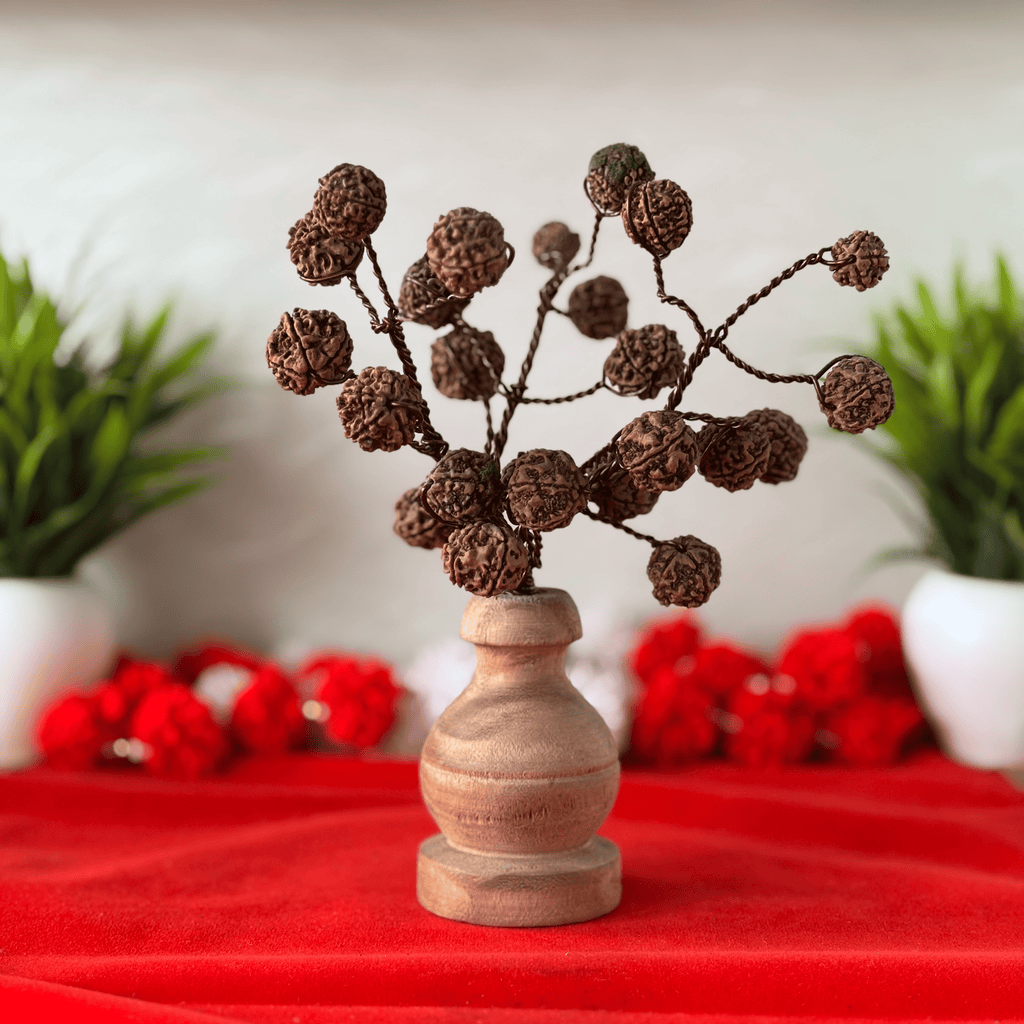 Rudraksha Tree on Wooden Base