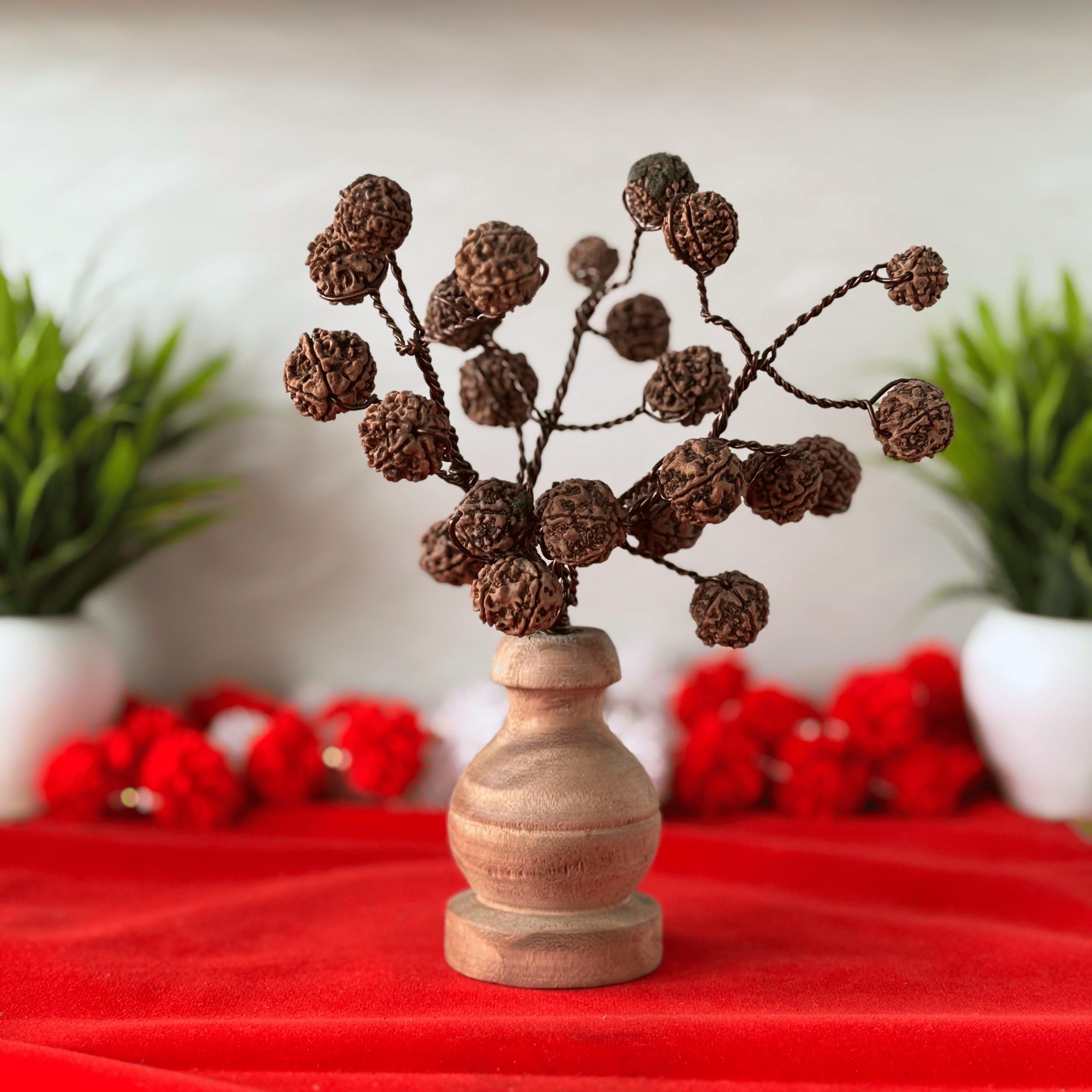 Rudraksha Tree on Wooden Base