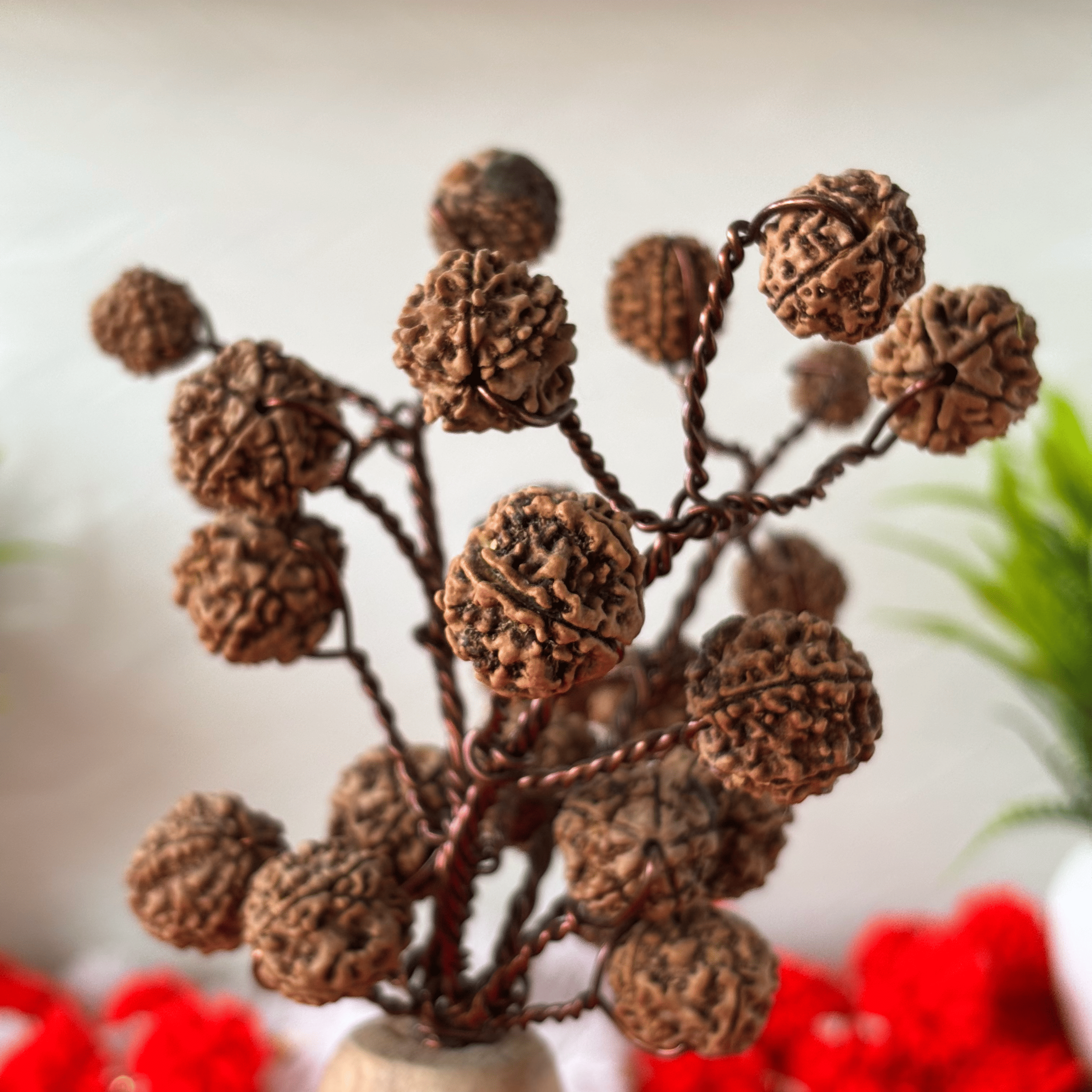 Rudraksha Tree on Wooden Base