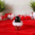 Natural Shaligram Stone for Bhagwan Vishnu