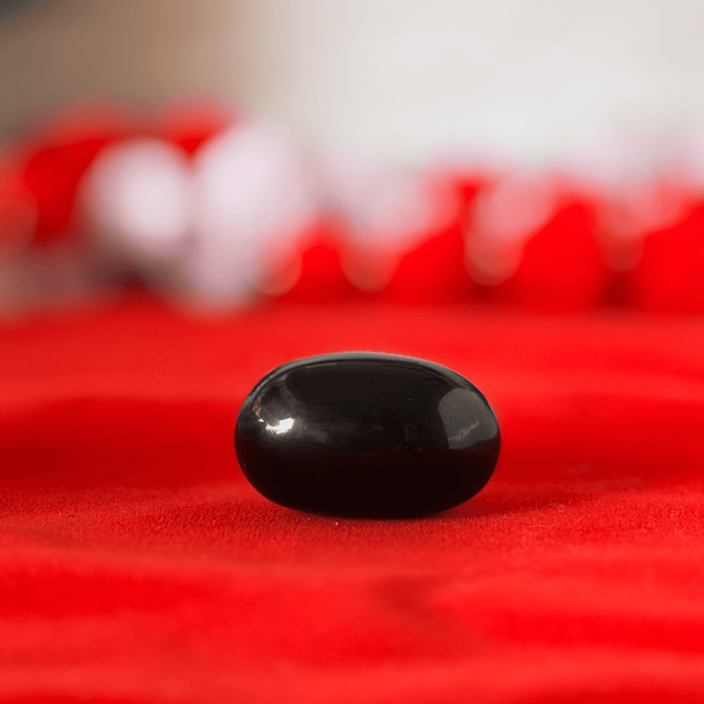 Natural Shaligram Stone for Bhagwan Vishnu