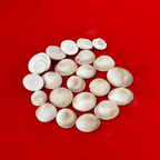 Gomti Chakra for Puja (Pack of 11)