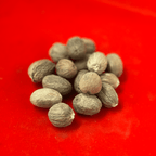 Jaifal for Puja | Nutmeg (Pack of 11)