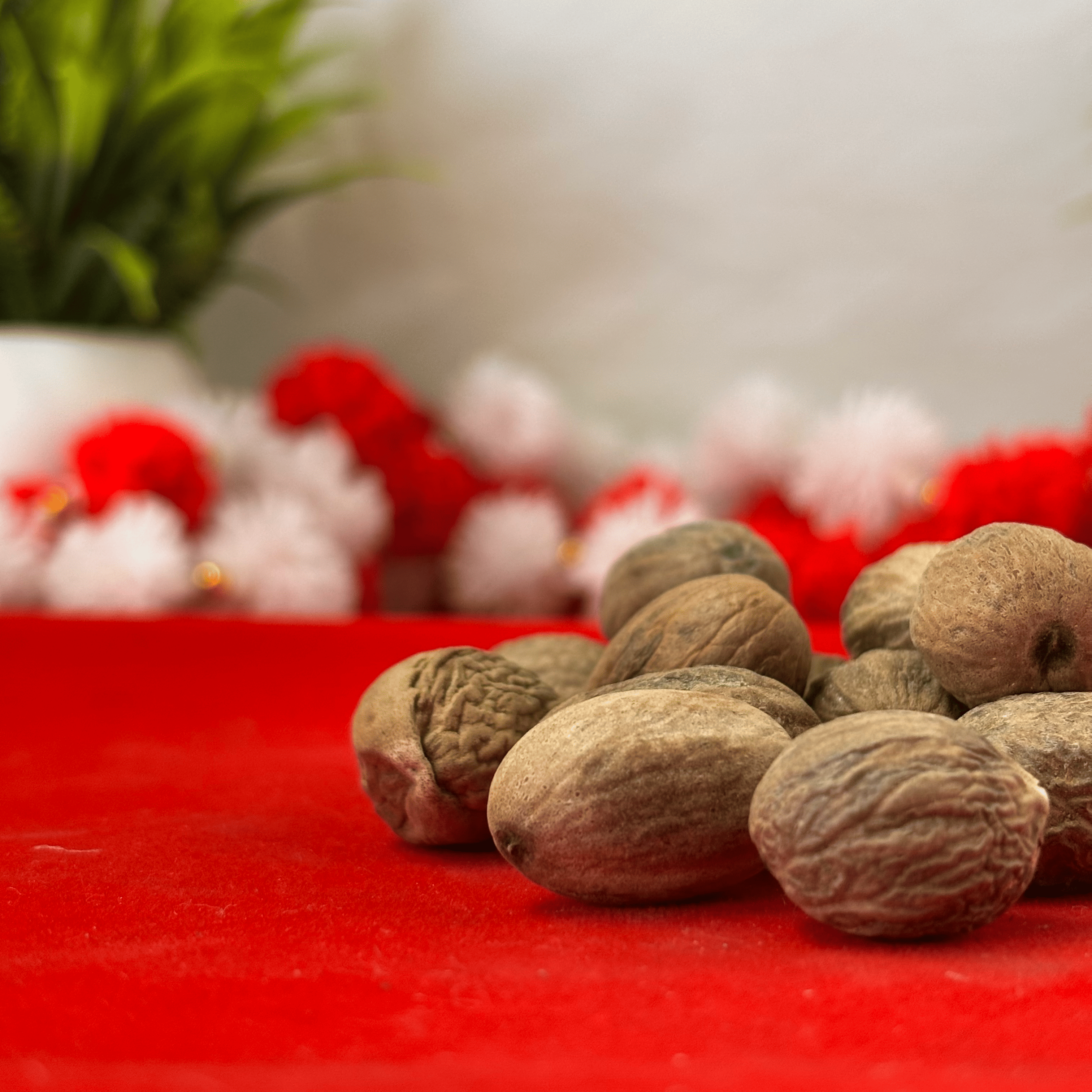 Jaifal for Puja | Nutmeg (Pack of 11)