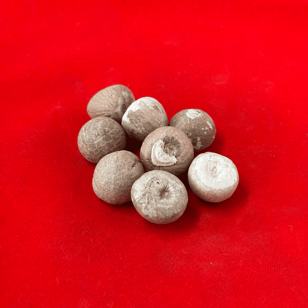 Supari for Puja | Betel Nuts (Pack of 11)