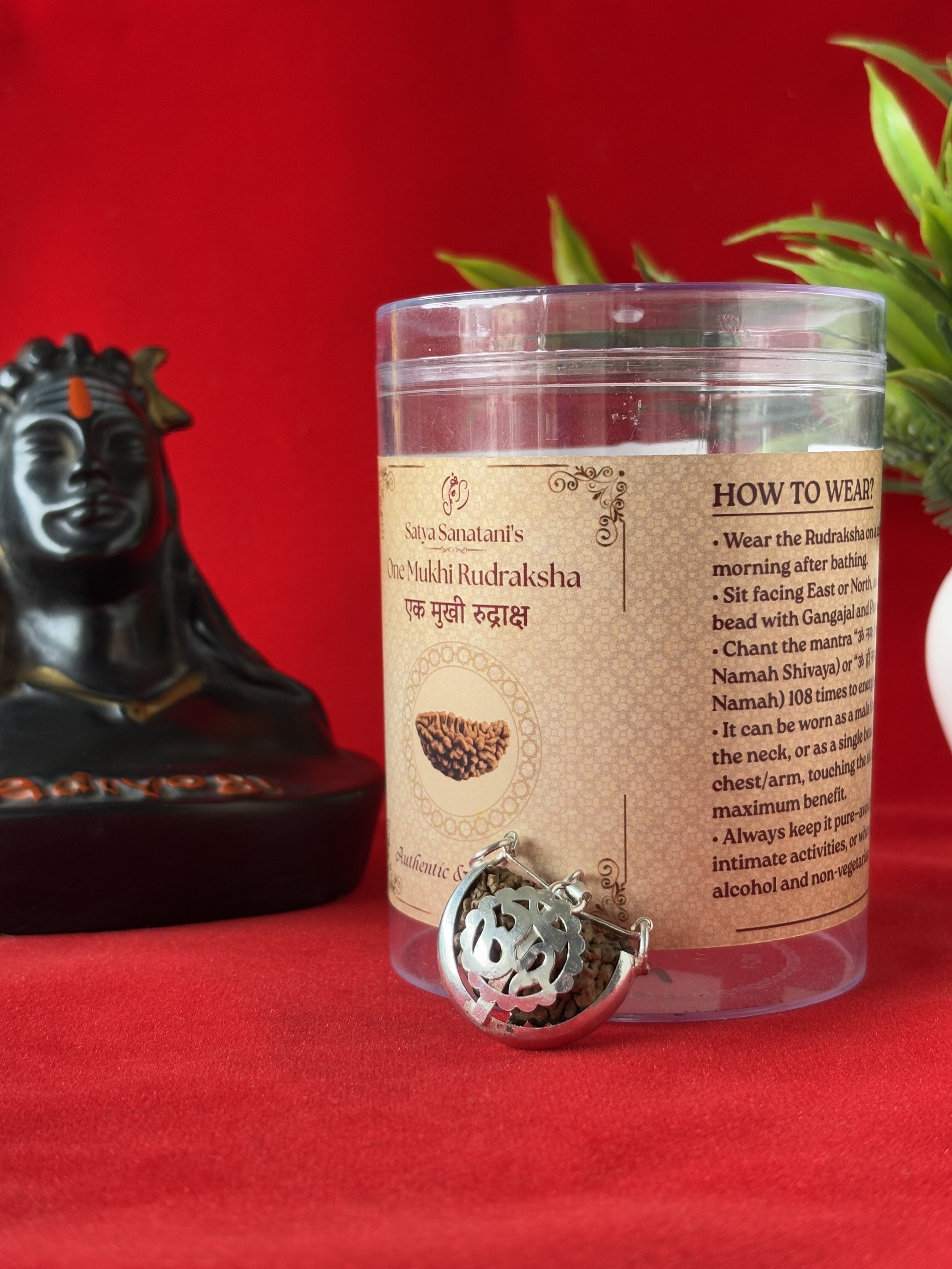 Original 1 Mukhi Rudraksha Pendant