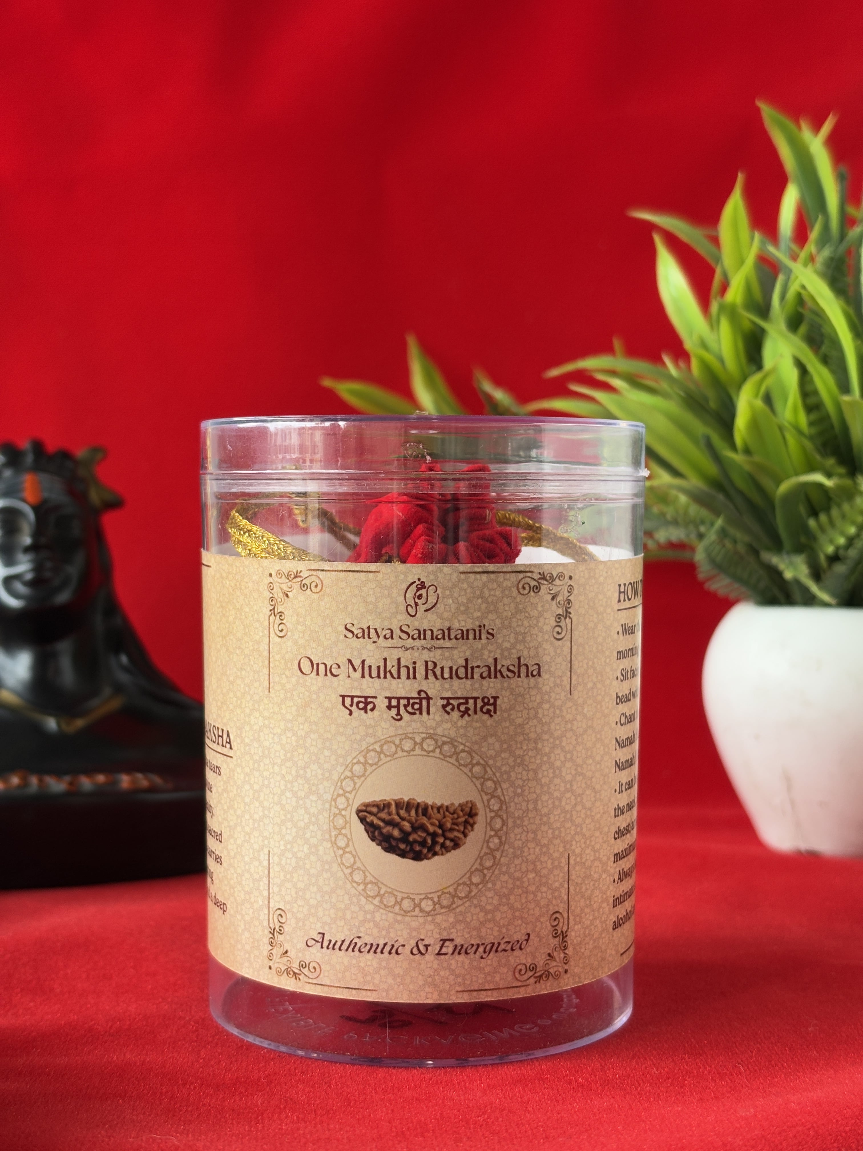 Original 1 Mukhi Rudraksha Pendant