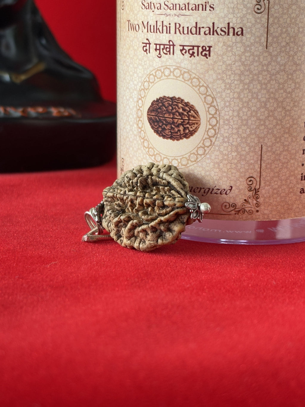 Original 2 Mukhi Rudraksha Pendant