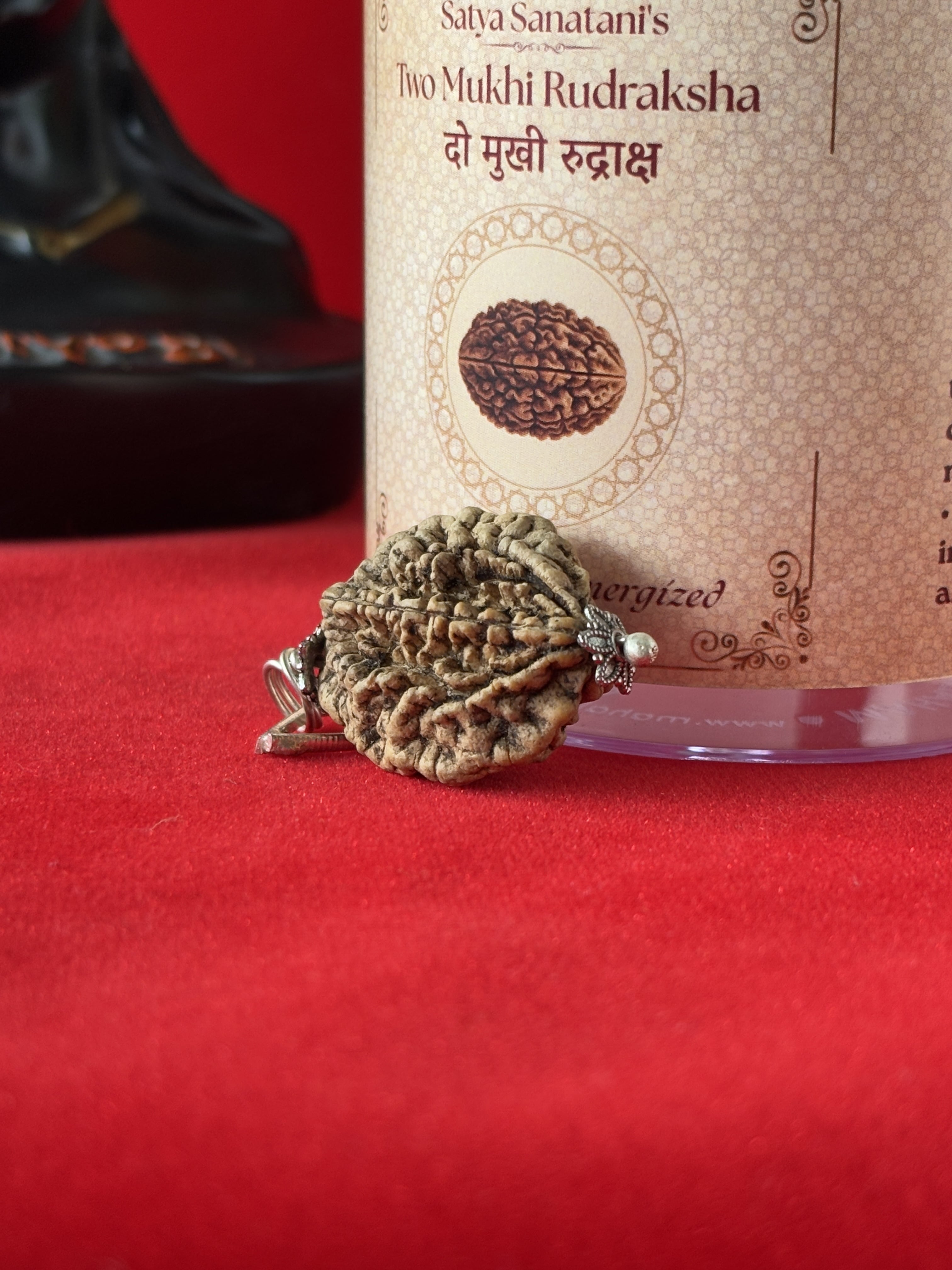 Original 2 Mukhi Rudraksha Pendant