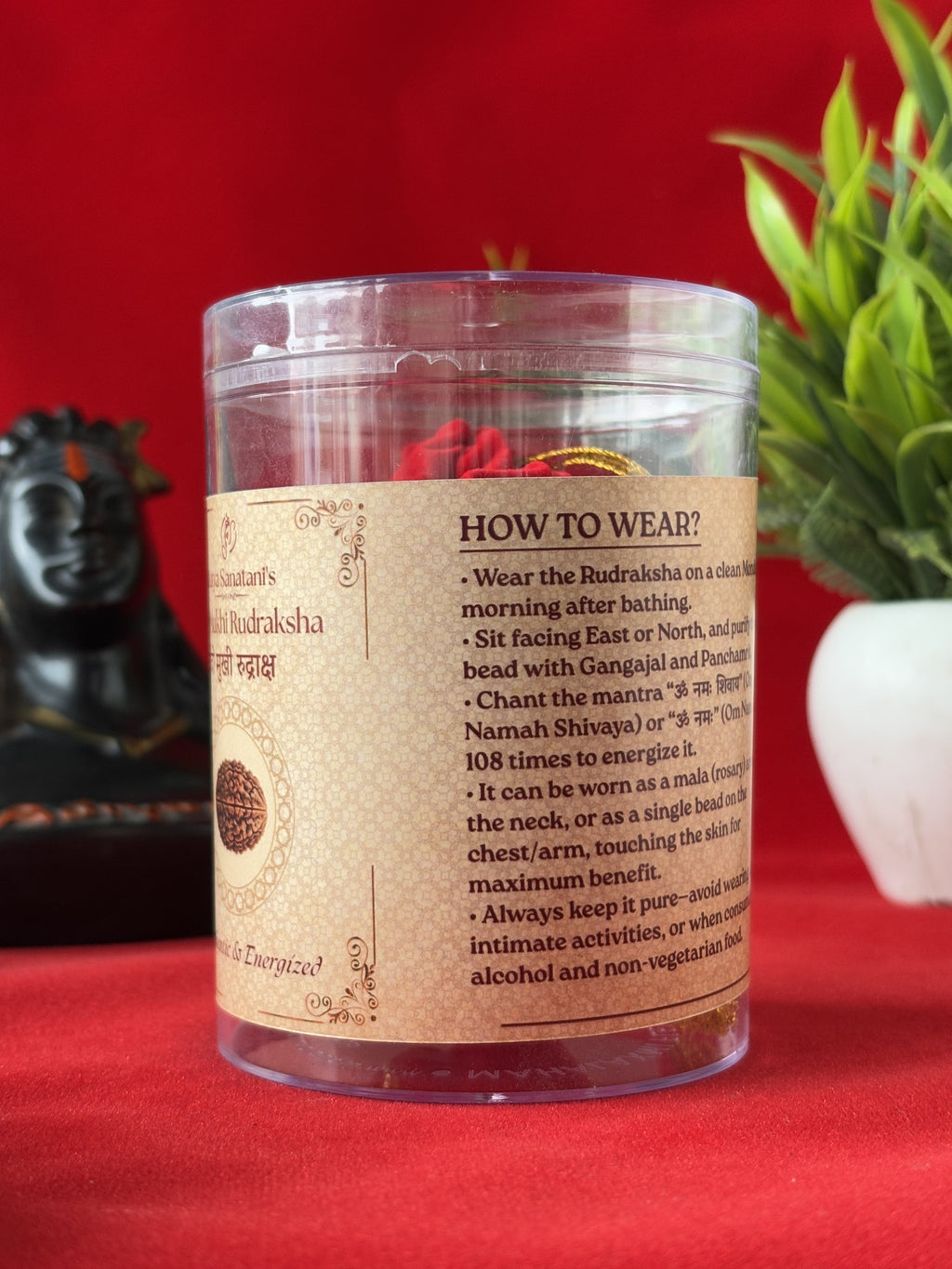 Original 2 Mukhi Rudraksha Pendant