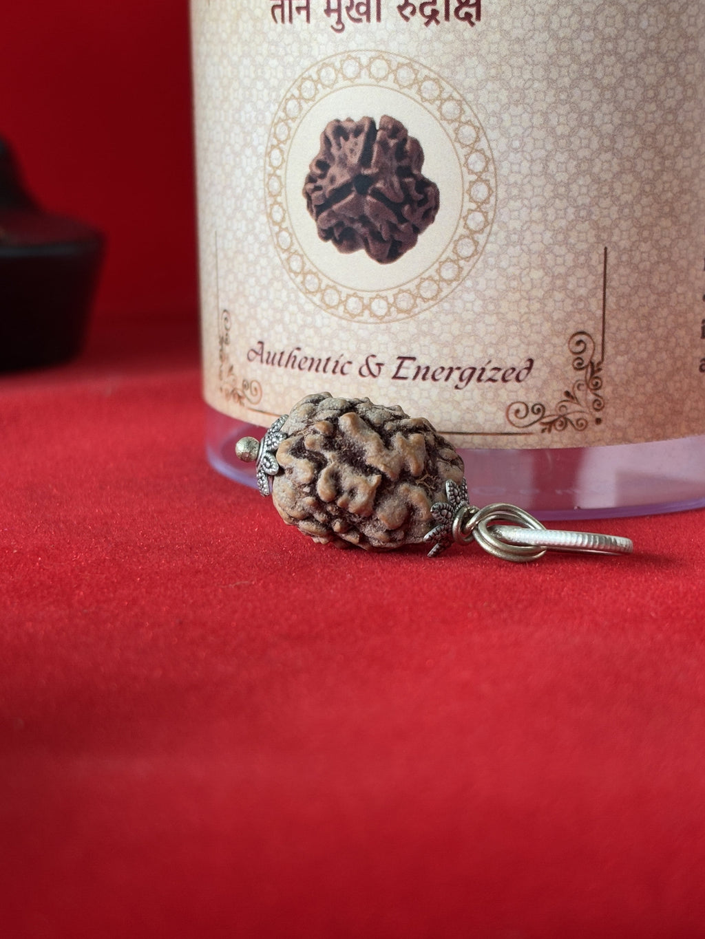 Original 3 Mukhi Rudraksha Pendant