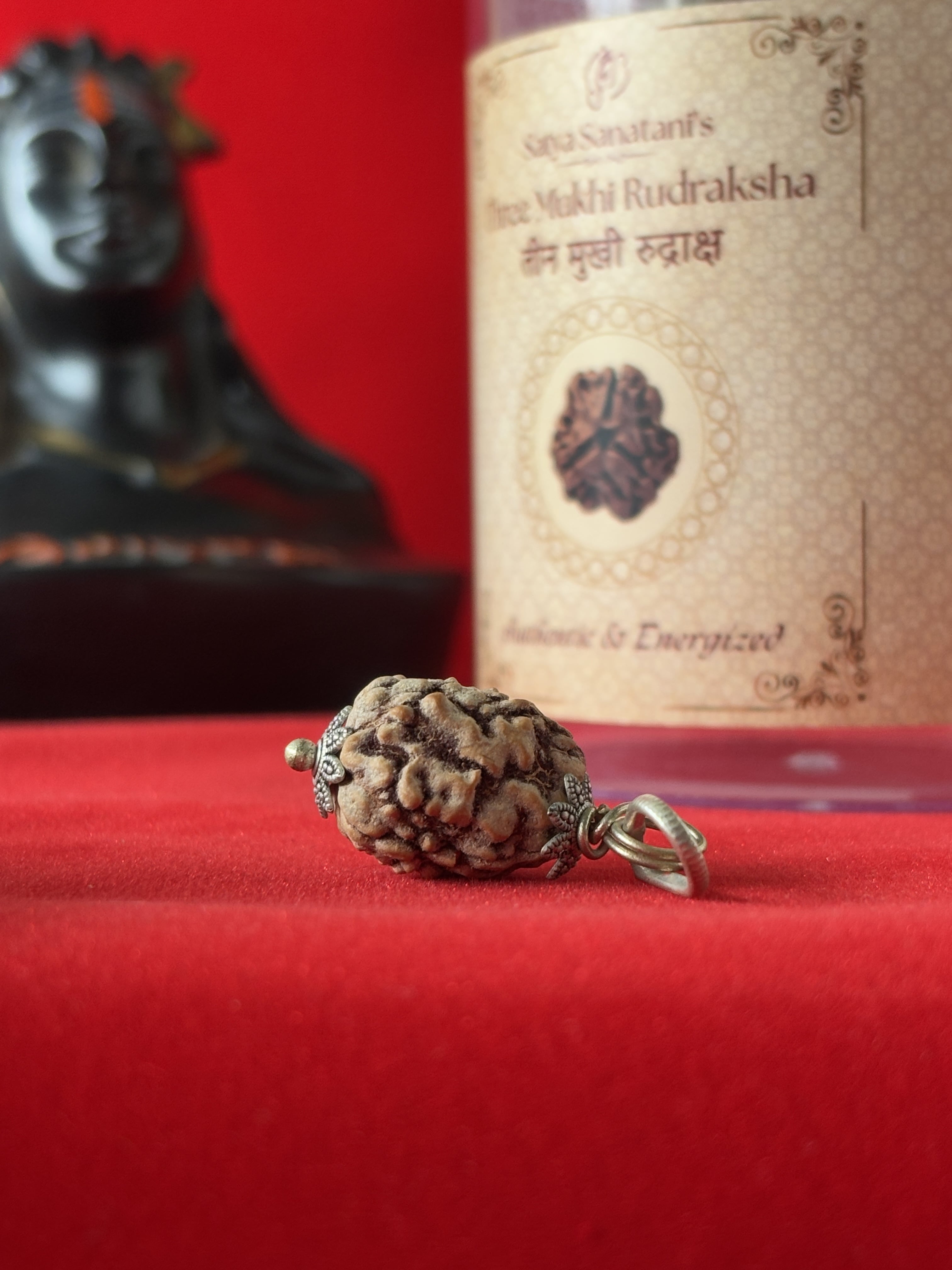 Original 3 Mukhi Rudraksha Pendant