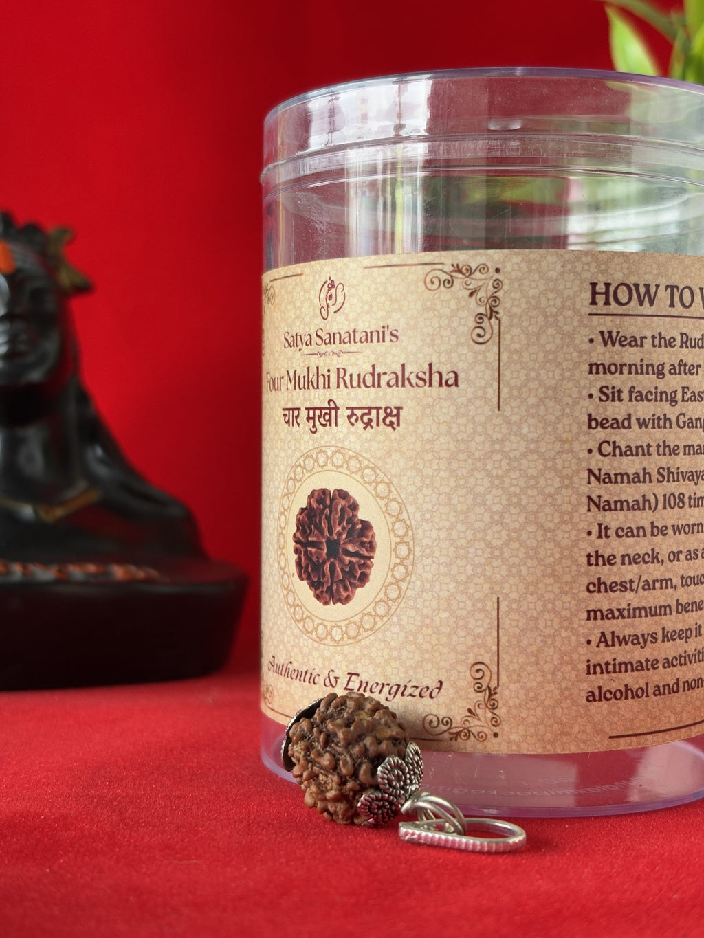 Original 4 Mukhi Rudraksha Pendant