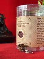 Original 4 Mukhi Rudraksha Pendant