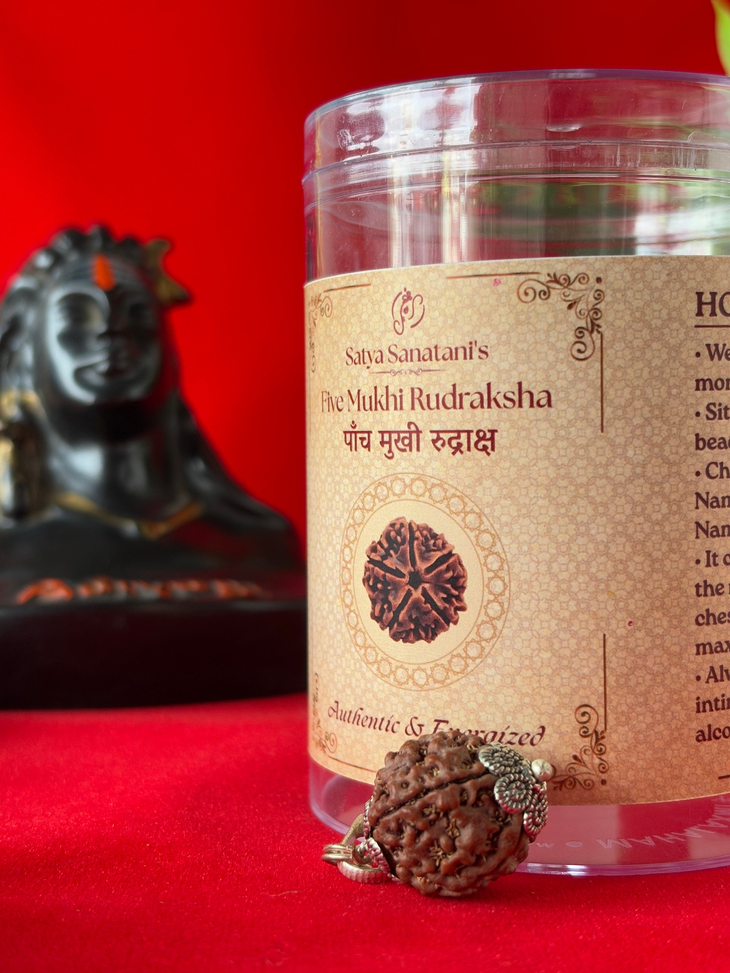 Original 5 Mukhi Rudraksha Pendant