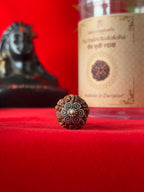 Original 5 Mukhi Rudraksha Pendant