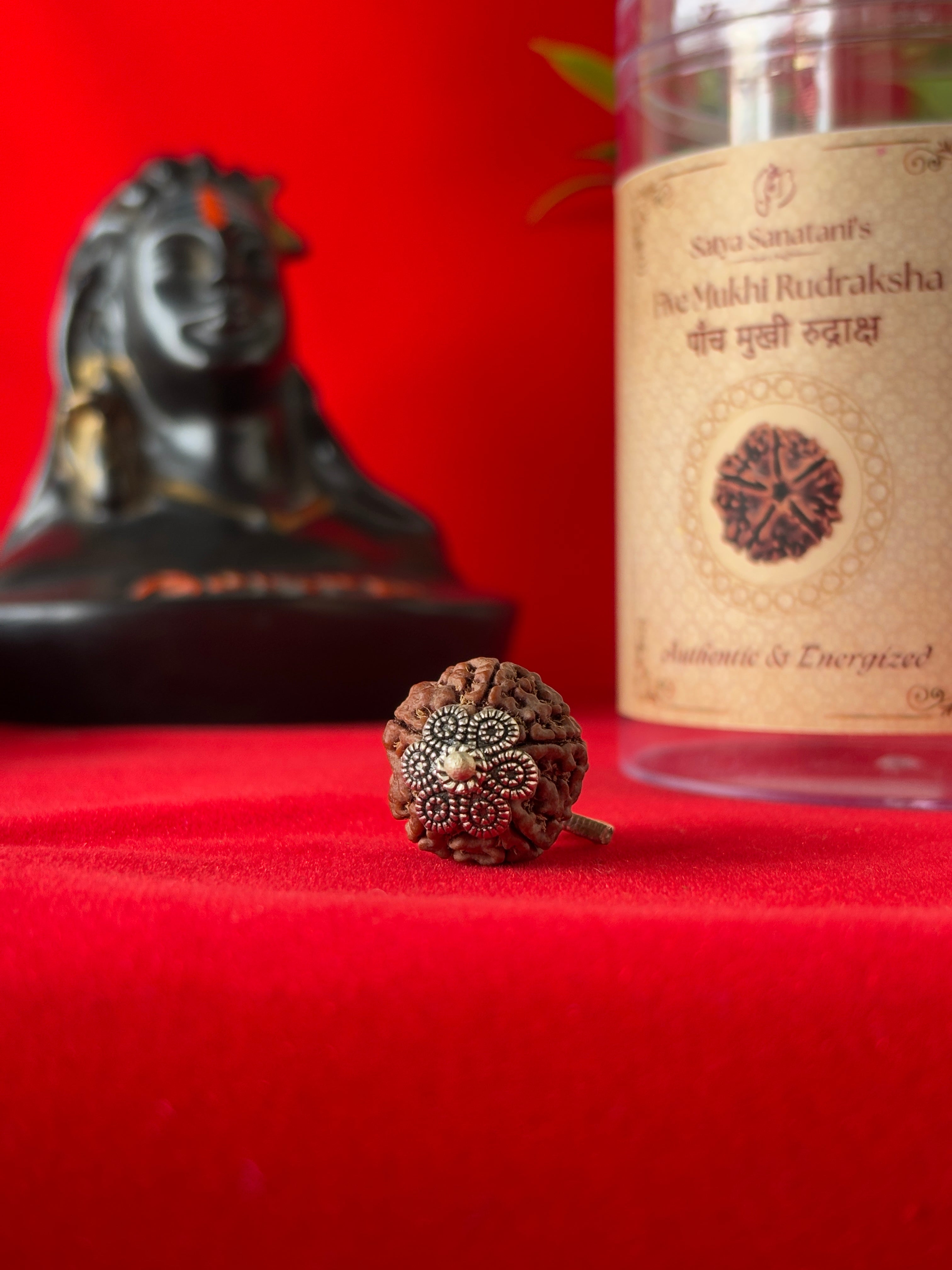 Original 5 Mukhi Rudraksha Pendant