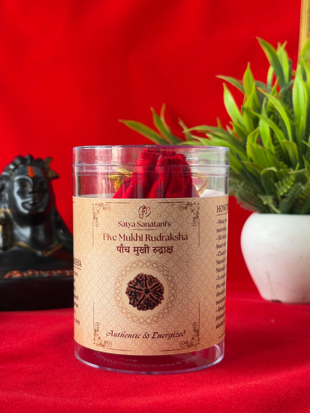 Original 5 Mukhi Rudraksha Pendant