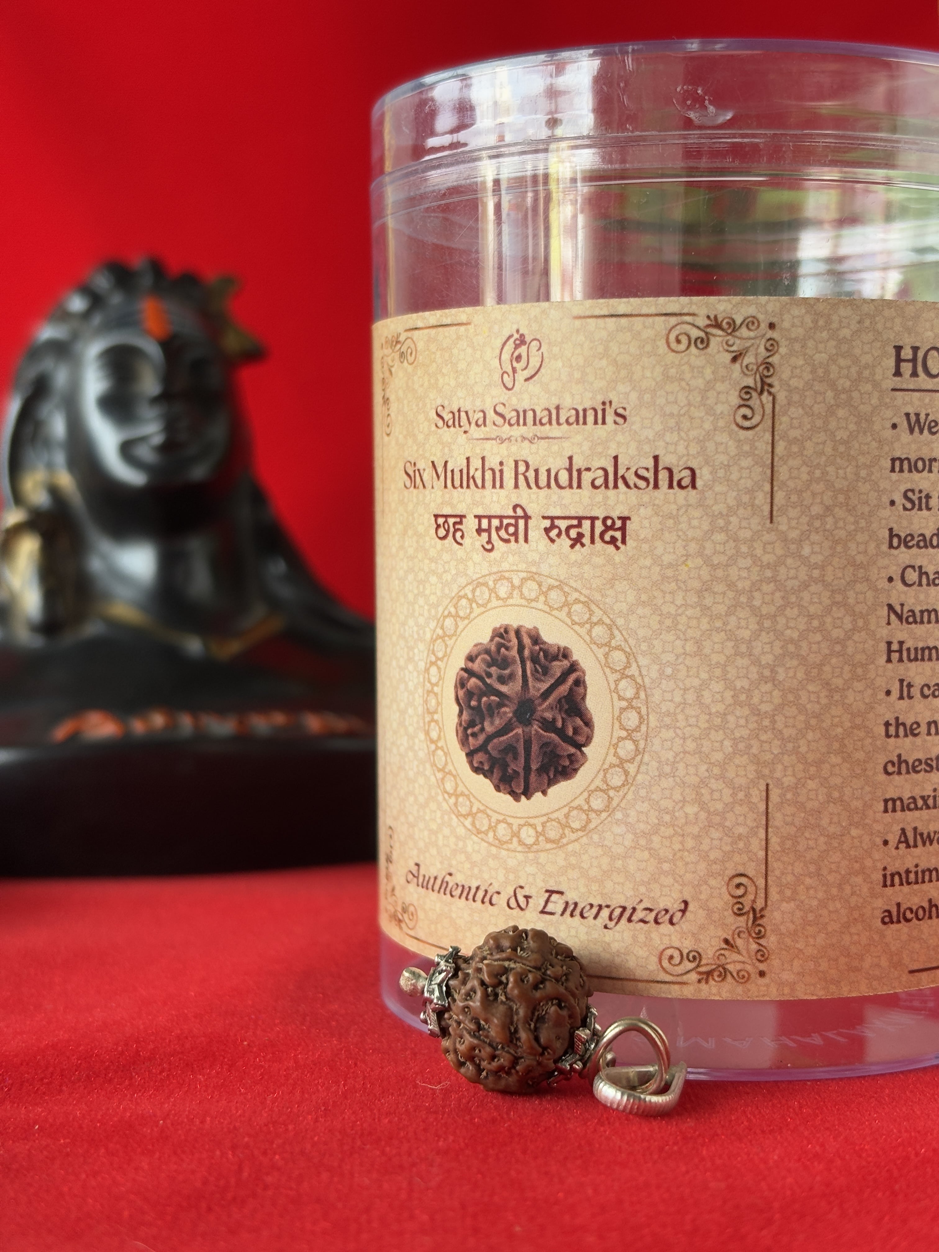 Original 6 Mukhi Rudraksha Pendant