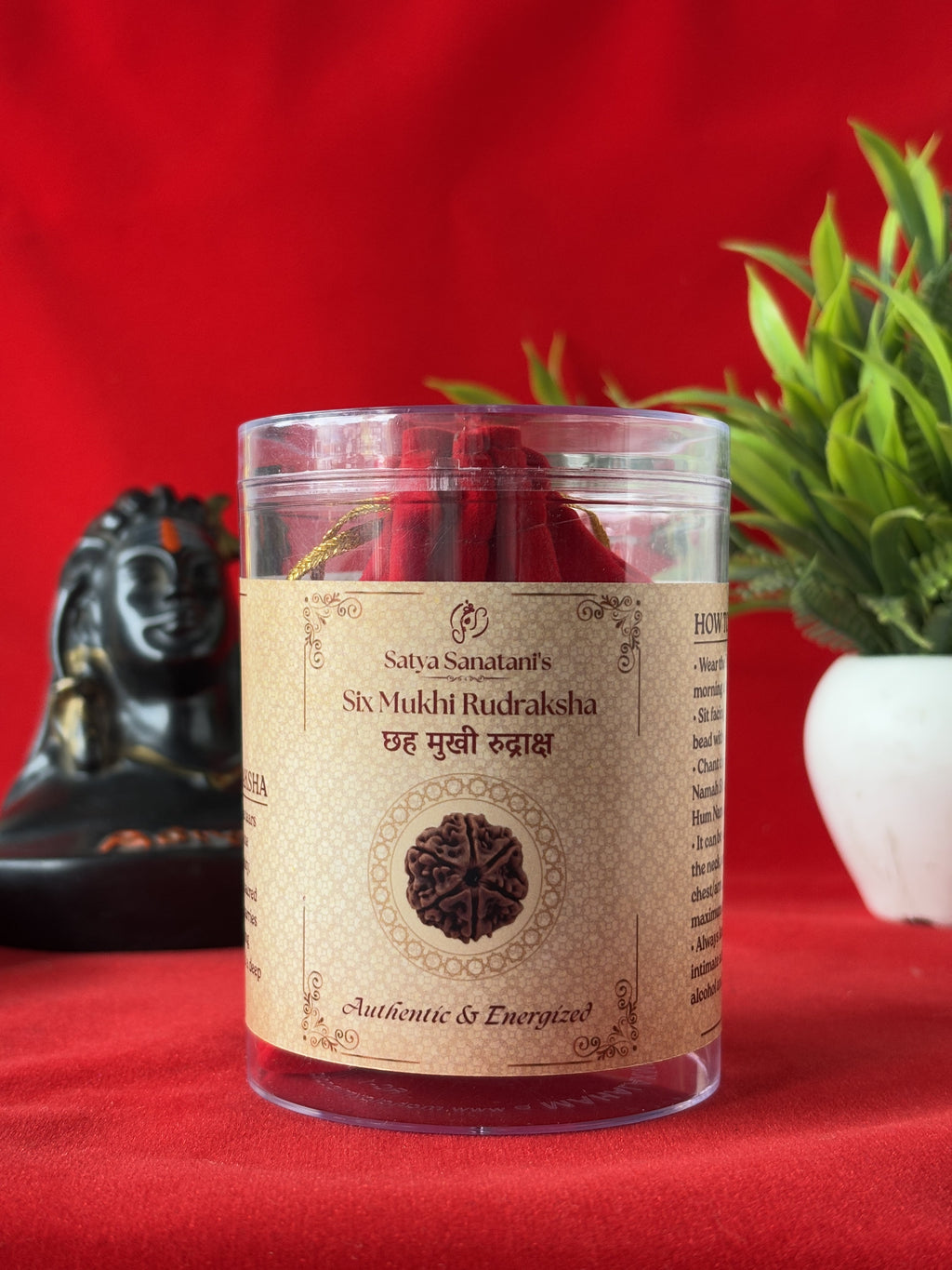 Original 6 Mukhi Rudraksha Pendant