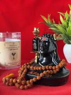 Original 5 Mukhi Rudraksha Mala (8–10mm beads)