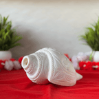 Natural White Shankh with Bhagwan Ganesha Carving