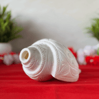 Natural White Shankh with Bhagwan Ganesha Carving