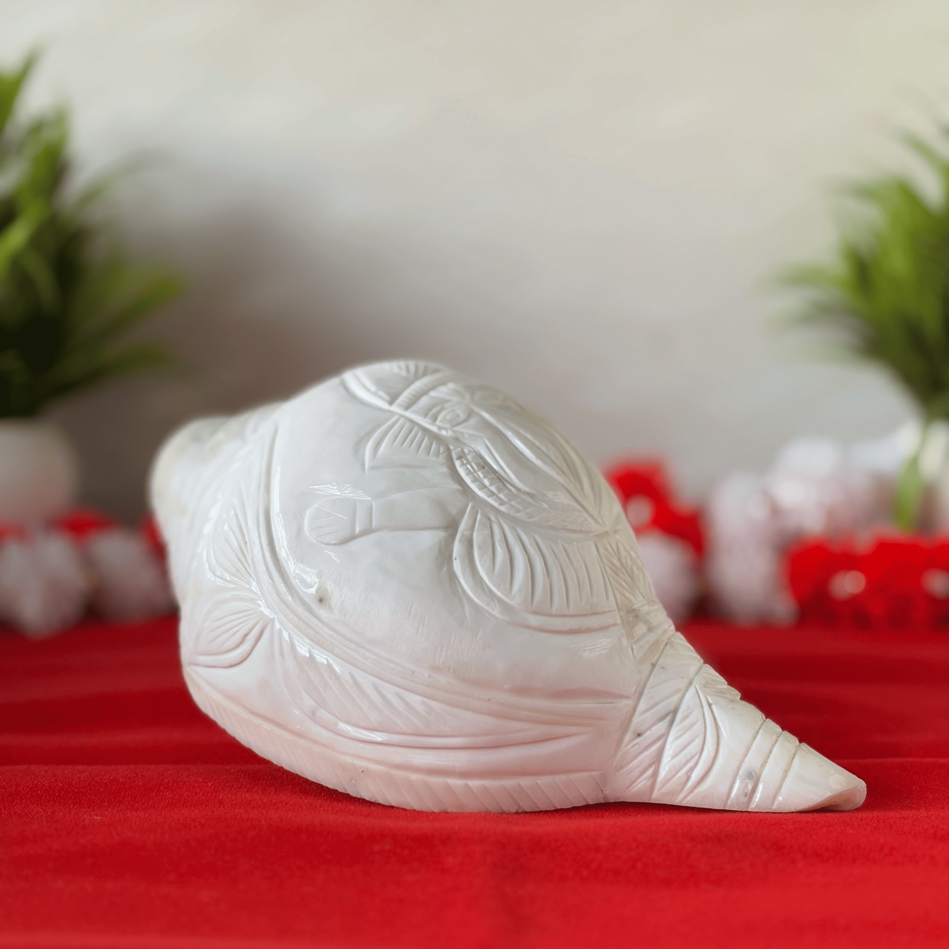 Natural White Shankh with Bhagwan Ganesha Carving