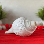 Natural White Shankh with Bhagwan Ganesha Carving