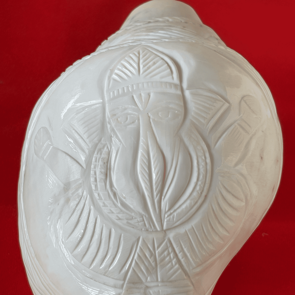 Natural White Shankh with Bhagwan Ganesha Carving