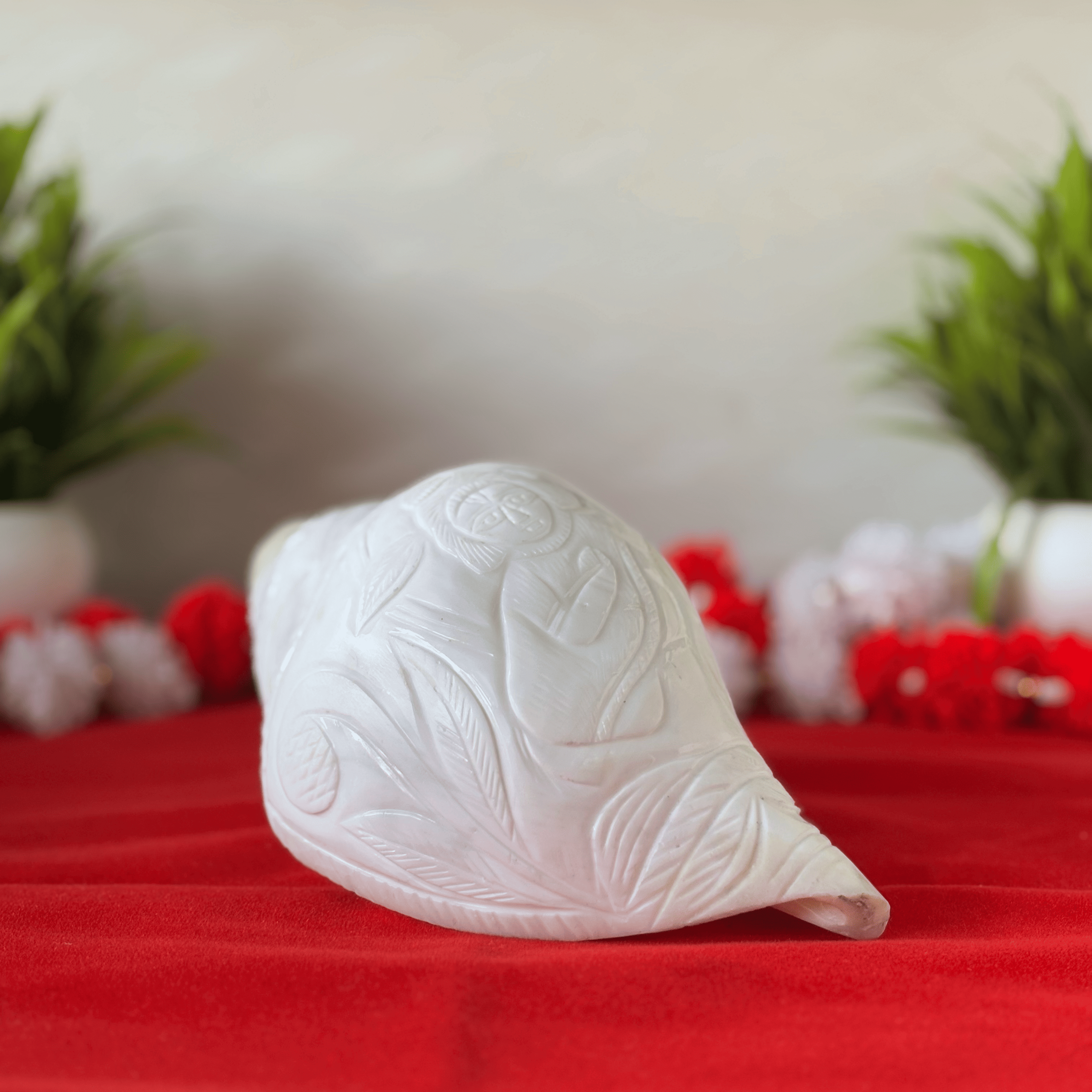 Natural White Shankh with Bhagwan Shri Krishna Carving