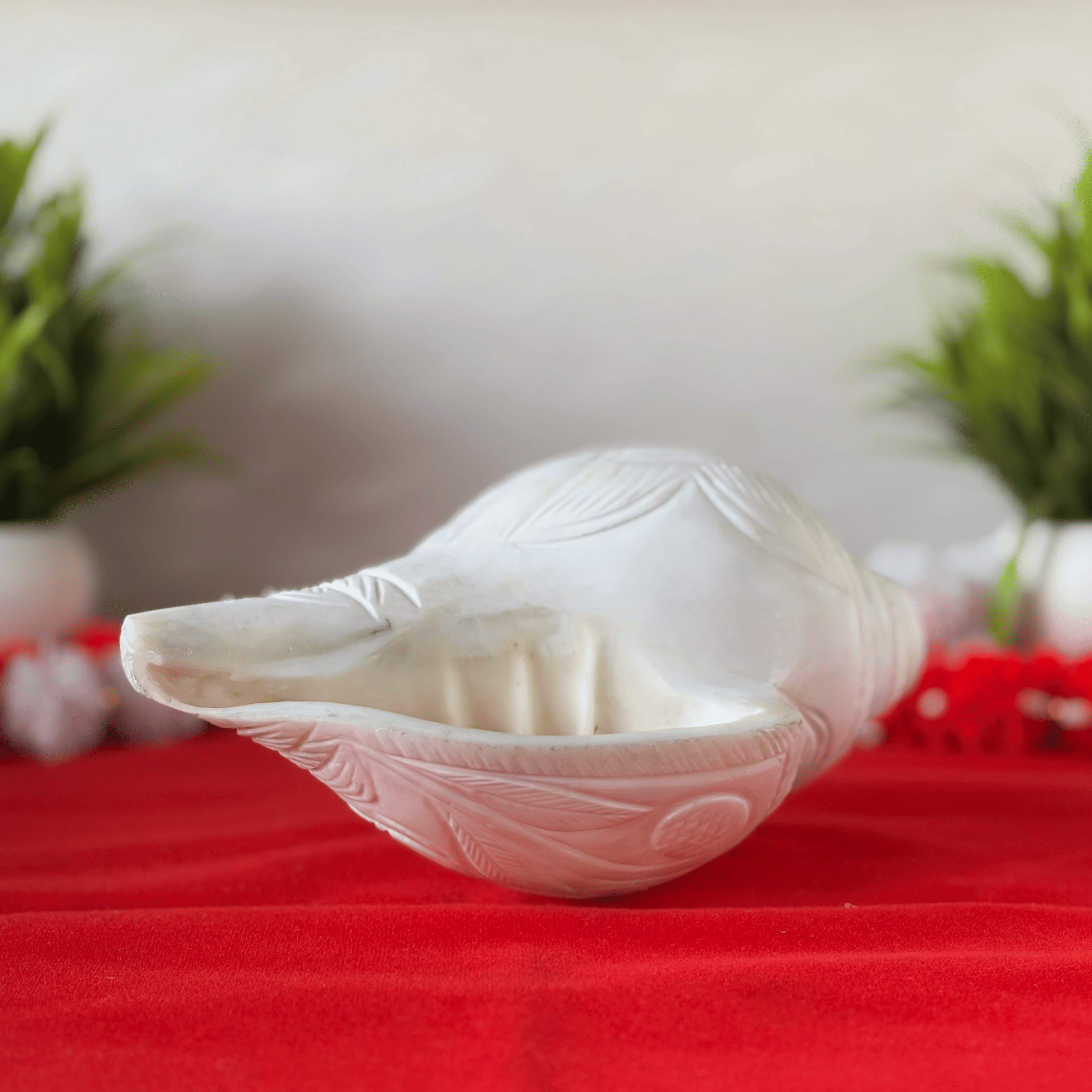 Natural White Shankh with Bhagwan Shri Krishna Carving