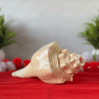 Natural Design Conch Shell (Shankh)