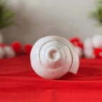 Polished & Smooth Natural Conch Shell