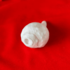 Natural White Shankh Right