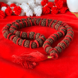 Original Rudraksha Mala (Big Beads)