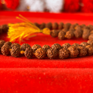 Natural Rudraksha Mala