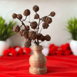 Rudraksha Tree on Wooden Base