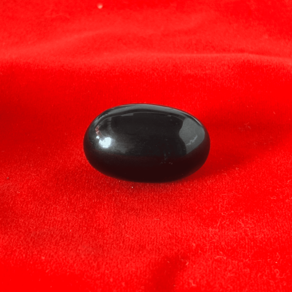 Narmadeshwar Shivling